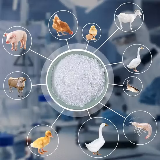 중국 공장 도매 대량 식품 등급 글리신 CAS 56